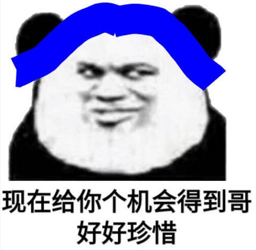 熊猫跳舞特效bgm是什么？普信熊猫表情包