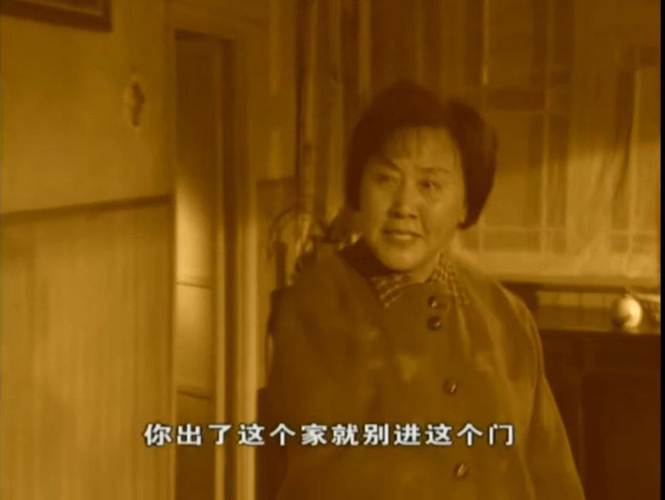 中国摩登家庭是什么意思（电视剧摩登家庭内容简介）