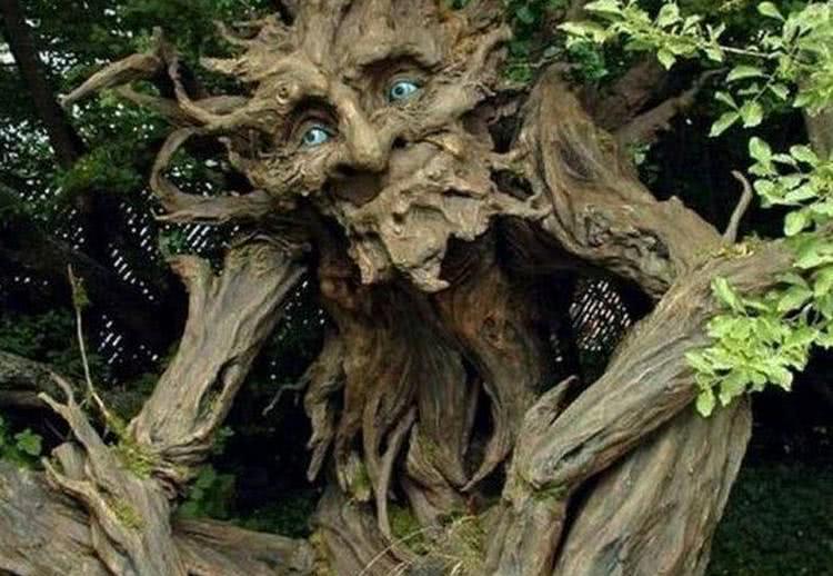 女生叫男生树洞是什么意思（愿意做你树洞的男人的含义）