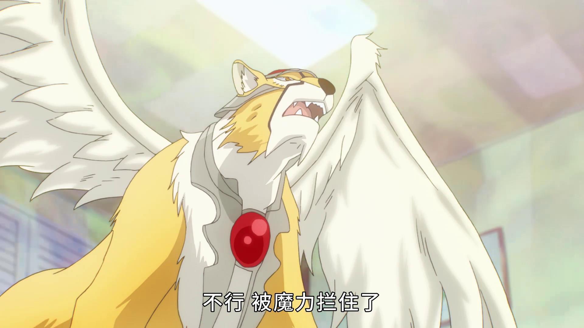 百变小樱结局小狼和小樱怎么了（揭秘魔卡少女樱大结局）