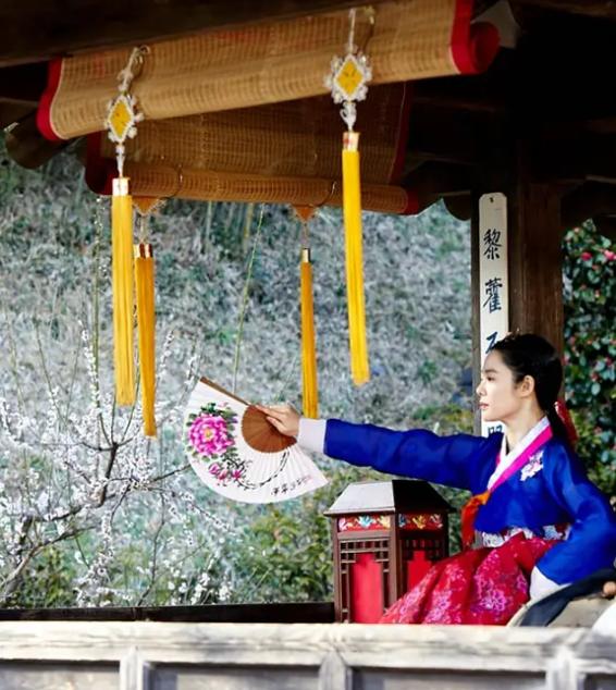 宋善美喂奶照片（韩剧甄嬛传精彩剧情介绍）