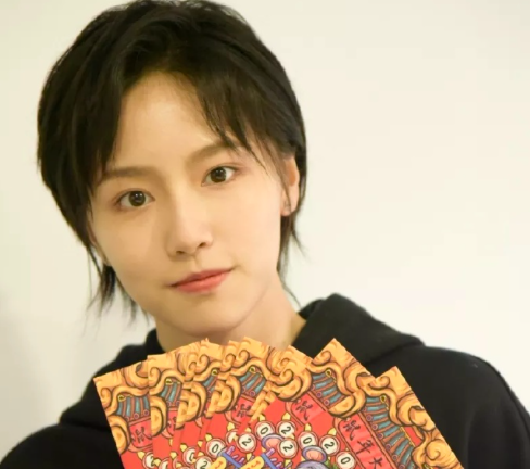 成果为什么突然不火了（诸葛大力扮演者成果黑历史）