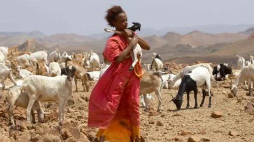 女性割礼是什么地方（非洲的索马里割礼习俗介绍）