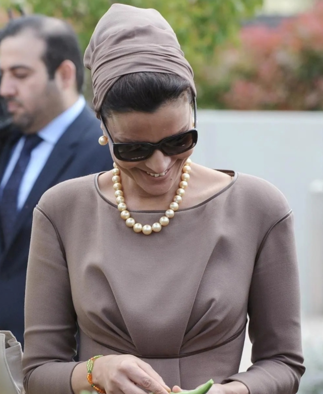 莫扎王妃厉害吗（中东卡塔尔莫扎王后资料介绍）