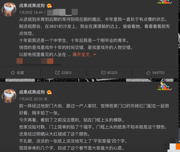 成果为什么突然不火了（诸葛大力扮演者成果黑历史）