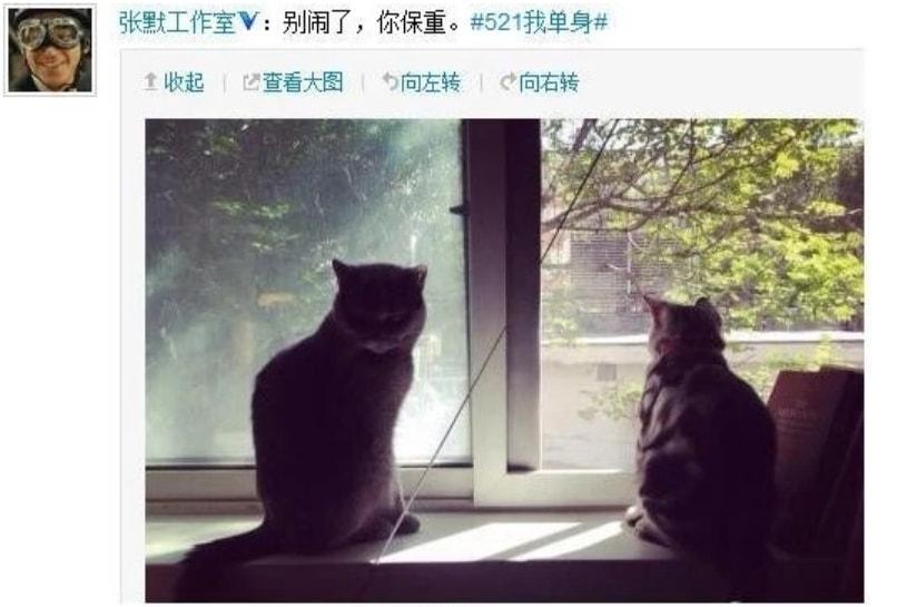 牛萌萌长什么样子（明星牛萌萌图片个人资料）