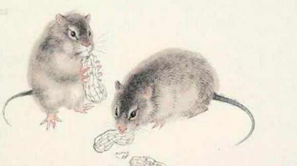 庚子鼠年都发生过什么灾难（盘点近百年来的鼠年灾祸）