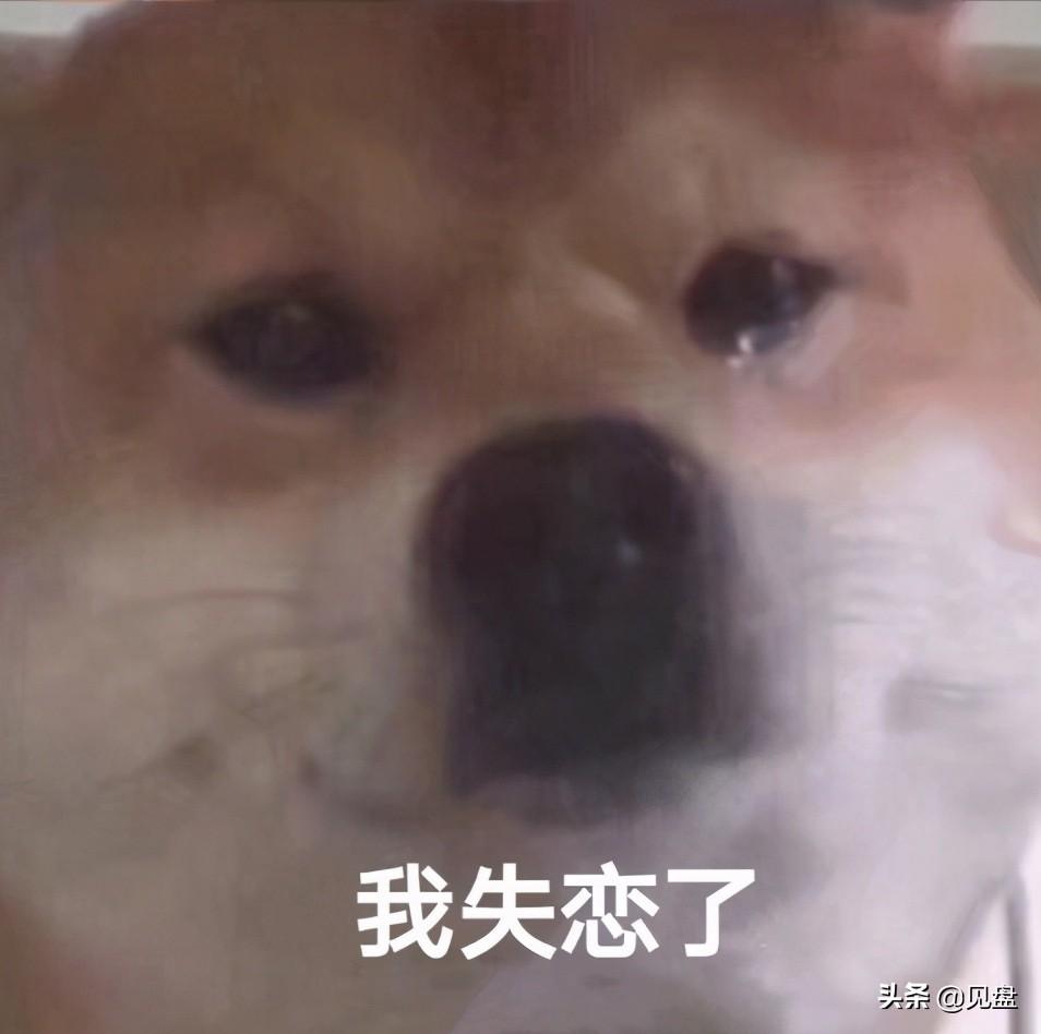 YJJ和女流66差几岁（盘点YJJ和女流的恋爱细节）