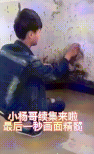 小杨哥资产有多少个亿（疯狂小杨哥身价揭秘）