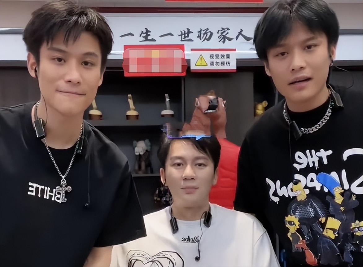 小杨哥资产有多少个亿（疯狂小杨哥身价揭秘）