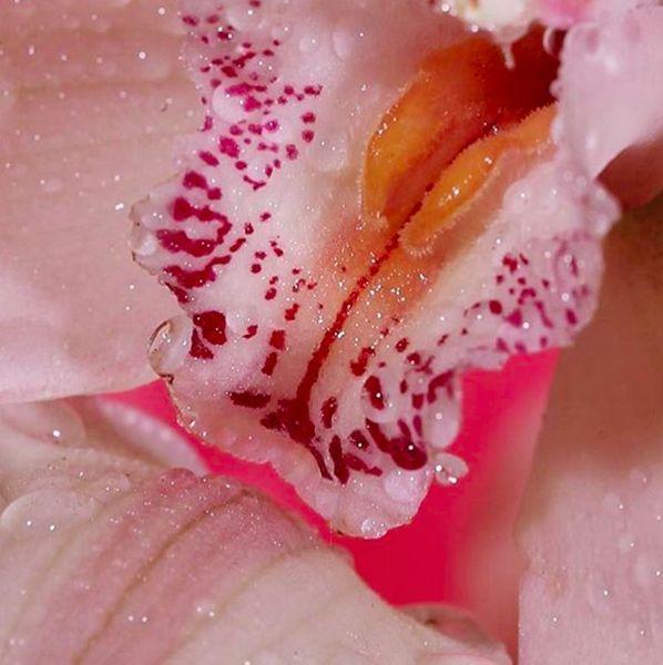 神秘的爱液是什么（女子爱液的能吃吗）