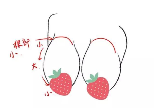 二次元欧派是什么意思（女生的欧派的含义）