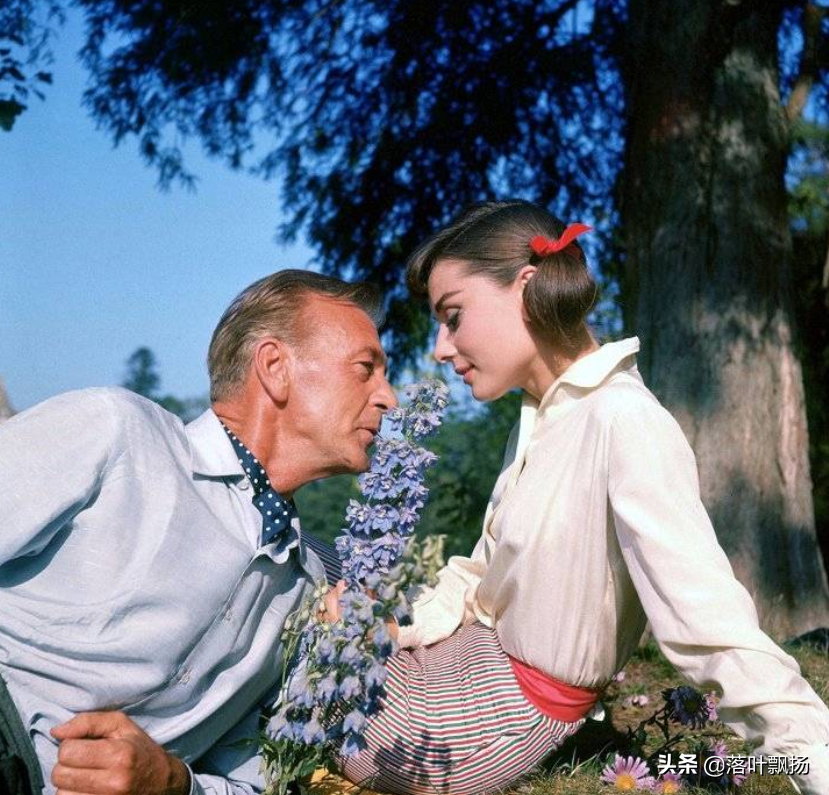 奥黛丽赫本的电影有哪些(英国女星奥黛丽赫本十部经典电影) 奥黛丽赫本的电影有哪些(英国女星奥黛丽赫本十部经典电影)