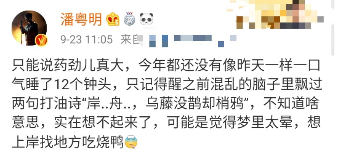 潘粤明发生了什么意外（详解潘粤明拍戏车祸事件）