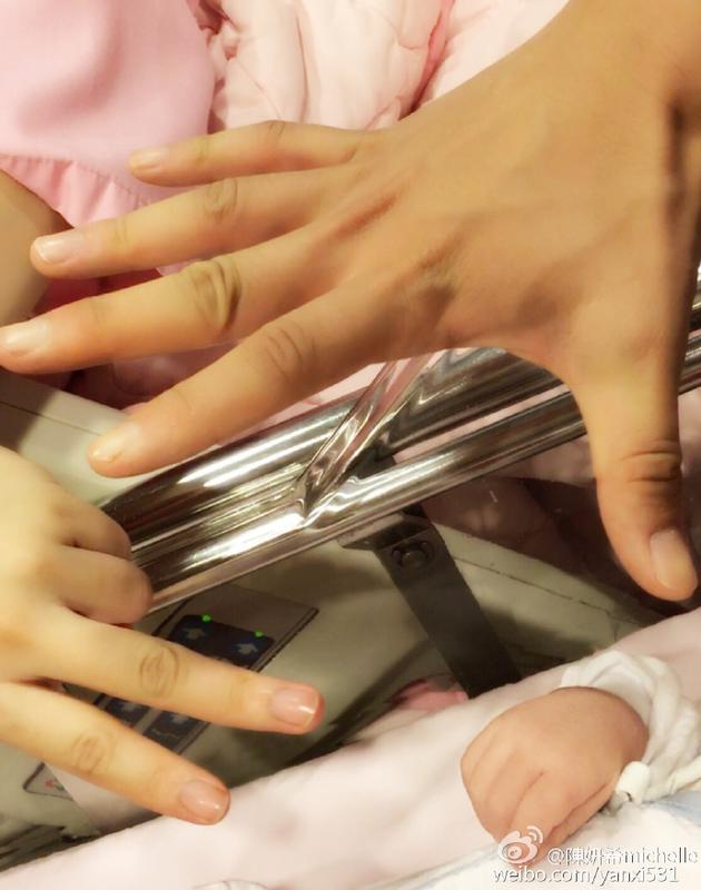 陈妍希比陈晓大几岁（演员陈晓个人资料简介及家世)