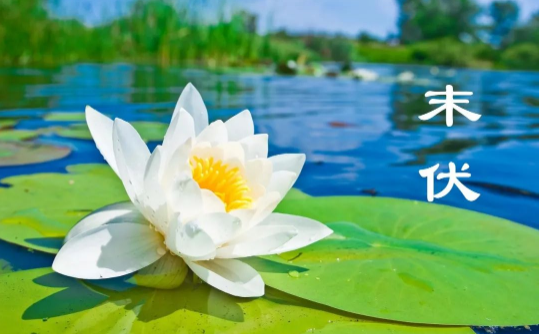 2023年末伏最后一天是哪一天（2023末伏最后一天是8月几号）