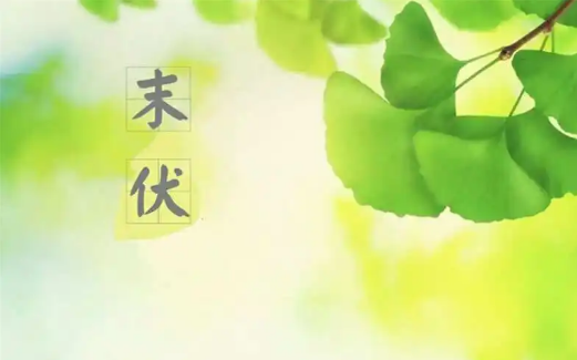 2023年末伏第一天是几月几号(2023年末伏从哪一天开始) 2023年末伏第一天是几月几号(2023年末伏从哪一天开始)