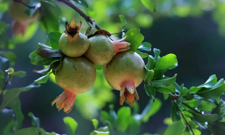 2023入秋是什么时间(2023年立秋时间几点几分几秒钟) 2023入秋是什么时间(2023年立秋时间几点几分几秒钟)