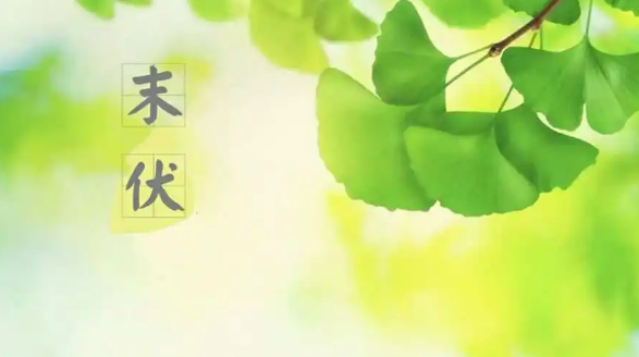 2023年末伏最后一天是哪一天（2023末伏最后一天是8月几号）