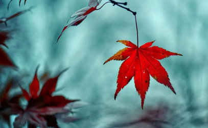 2023年8月有没有法定节假日（2023年8月有哪些大日子）