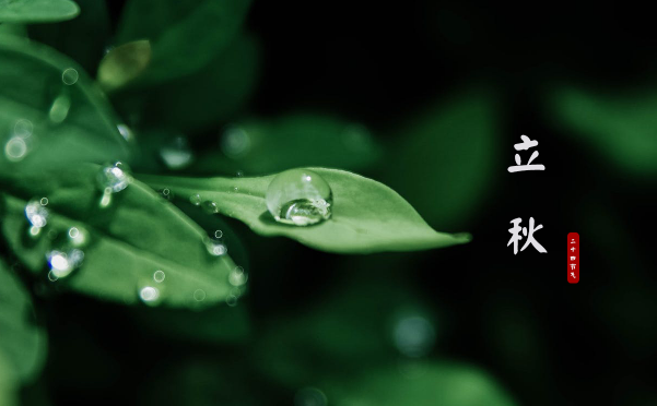 2023年立秋是几月几号几点几分几秒（2023年立秋具体时间表）