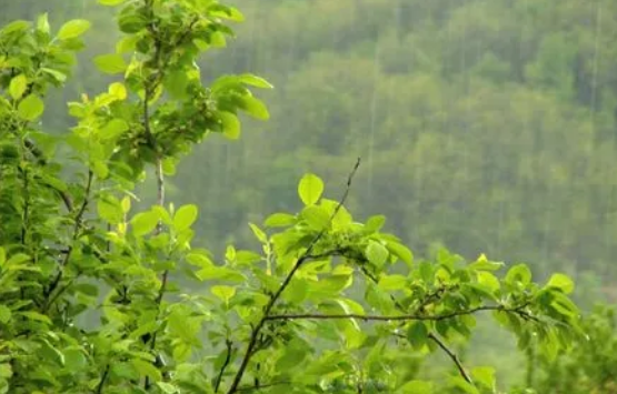 2023年7月雨水多吗2