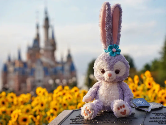 去迪士尼可以打扮成公主吗（迪士尼可以装扮成公主一样吗）