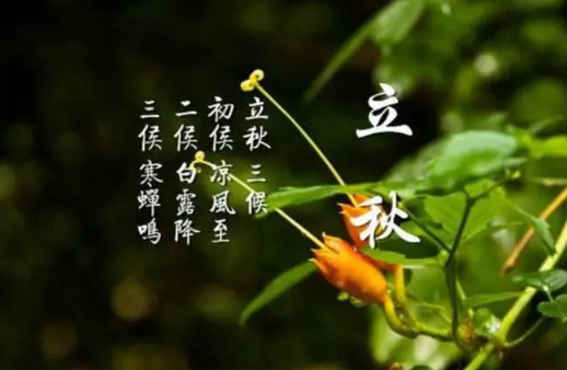 2023年立秋是早立秋还是晚立秋（2023年立秋时间是早还是晚）