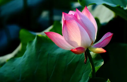 2023年8月有没有法定节假日（2023年8月有哪些大日子）