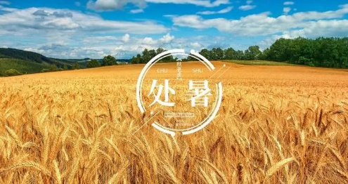 2023处暑过后一般天气多少度（处暑过后天气温度会降低吗）