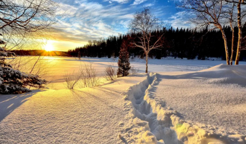 2024年春节冷不冷1