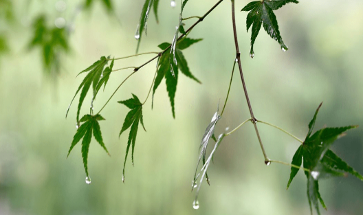 2023立秋在末伏之前热不热（2023末伏在立秋之后还会热吗）