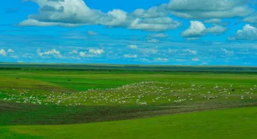 2023年9月份去呼伦贝尔大草原好吗(9月份去呼伦贝尔大草原穿什么衣服) 2023年9月份去呼伦贝尔大草原好吗(9月份去呼伦贝尔大草原穿什么衣服)