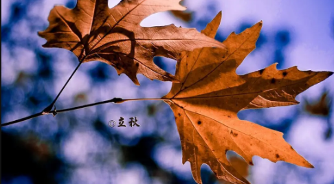 2023武汉立秋之后还热吗2