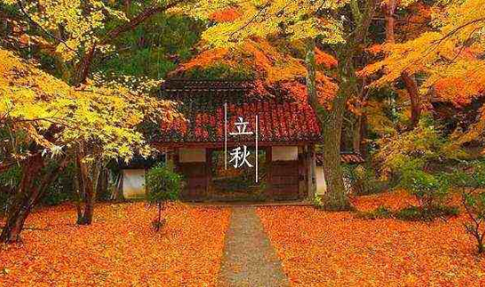 2023年立秋适合搬家入宅吗（2023年立秋搬家入宅好不好）