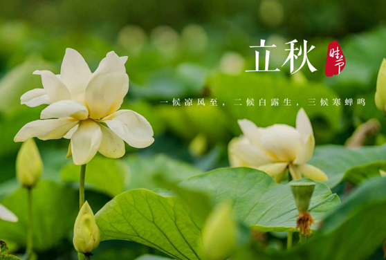 2023立秋后一个月还热吗1