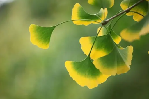 2023年立秋当天可以出远门吗（立秋当天出远门好不好吉利吗）