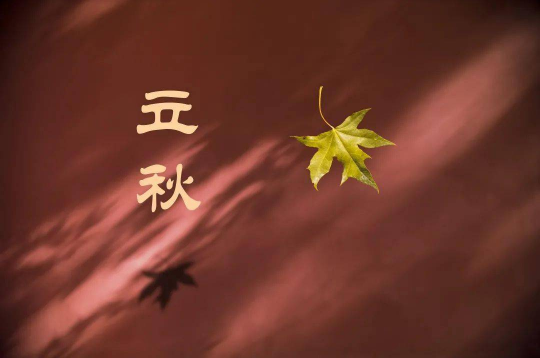 2023年立秋可以举行婚礼吗（2023年立秋当天可以举办婚宴吗）