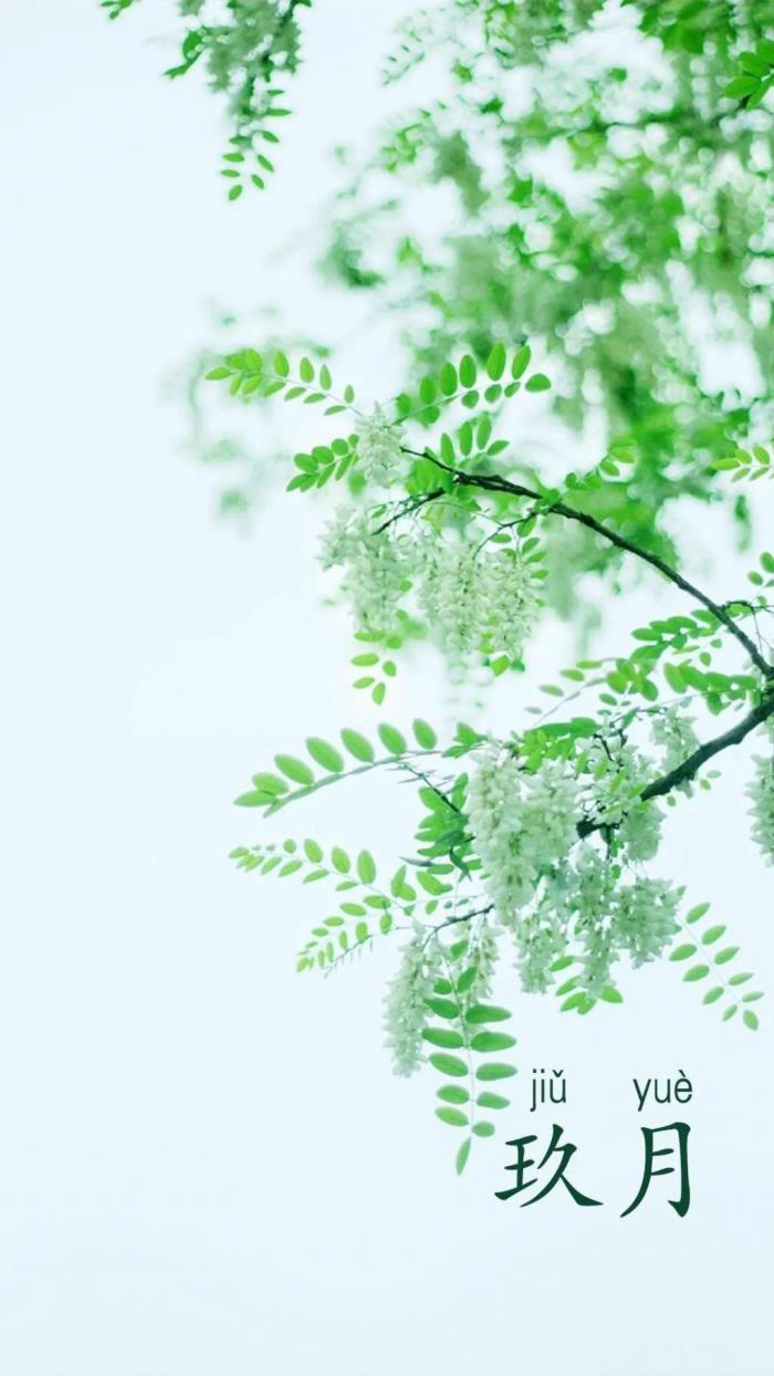 十二月你好的唯美句子（九月你好唯美的祝福文案）