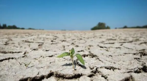 今年的干旱持续到什么时候结束2023（今年的干旱还要持续多久）