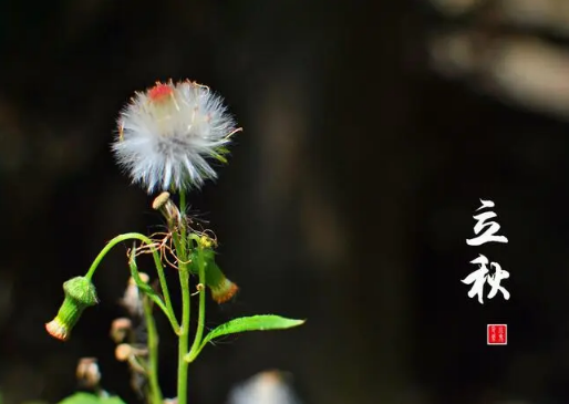 2023立秋是在中伏还是未伏（立秋是在二伏还是三伏2023）