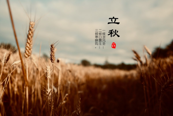 2023立秋在末伏之前热不热（2023末伏在立秋之后还会热吗）