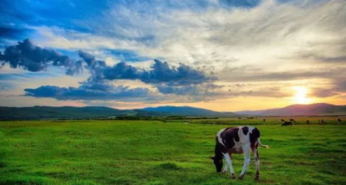 2023年9月份去呼伦贝尔大草原好吗（​9月份去呼伦贝尔大草原穿什么衣服）