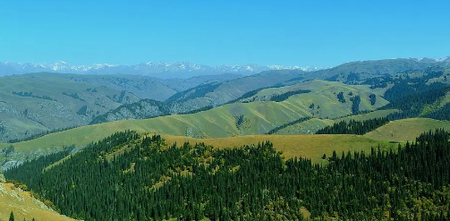 今冬新疆会冷吗2023(新疆冬天有什么特点) 今冬新疆会冷吗2023(新疆冬天有什么特点)