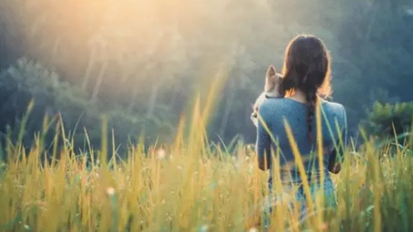 2023年三伏天晒太阳出汗多好还是少好（三伏天晒太阳出汗多少有没有啥讲究）