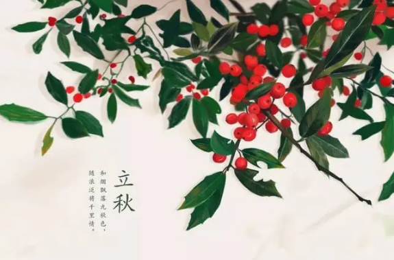 2023年立秋可以举行婚礼吗（2023年立秋当天可以举办婚宴吗）