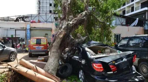 南方9月份为什么还要有台风2023(台风一般持续到几月份才能彻底结束) 南方9月份为什么还要有台风2023(台风一般持续到几月份才能彻底结束)