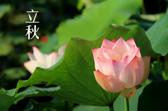 2023立秋后一个月还热吗2