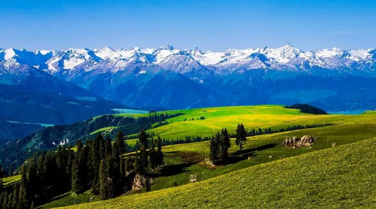 今冬新疆会冷吗2023(新疆冬天有什么特点) 今冬新疆会冷吗2023(新疆冬天有什么特点)