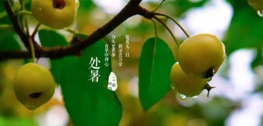 2023处暑过后多久黑天（处暑过后昼夜长短有什么变化）